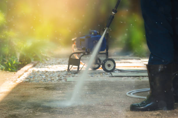 Best Roof Cleaning and Mildew Removal in Randolph Af, TX